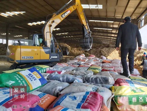 我市集中銷(xiāo)毀8萬(wàn)斤假劣種子，強(qiáng)化農(nóng)作物種子市場(chǎng)監(jiān)管