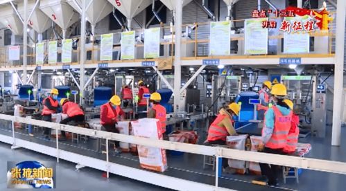 張掖 農(nóng)作物種子經(jīng)營(yíng)助力增收致富