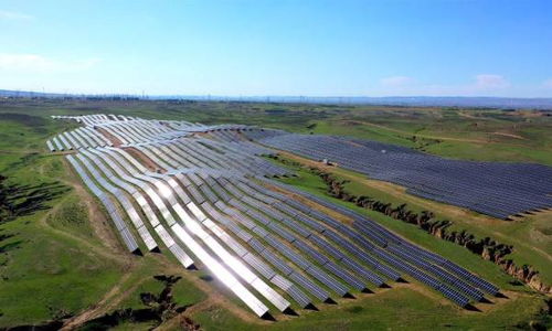 農(nóng)作物種子經(jīng)營(yíng) 國(guó)內(nèi)政策優(yōu)化與市場(chǎng)發(fā)展新趨勢(shì)