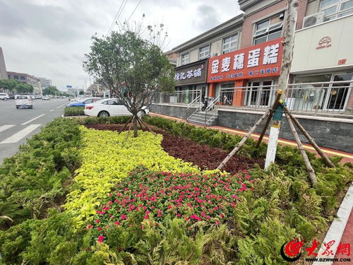 更好的濰坊 品質優(yōu)丨顏值與品質并存 濰坊全要素示范街來了