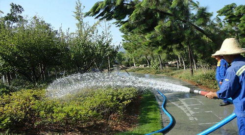 武漢園林維護 雅珍園林綠化工程 園林景觀維護