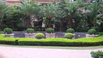 廣州地產(chǎn)綠化工程施工公司價(jià)格多少錢(qián)_佛嶺景觀