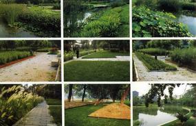 各種綠化、景觀鋪裝工程的設計與施工,園林綠化工程的養護;園林綠化苗木、草皮、花卉的種植,銷售(廣西南寧)_CO土木在線