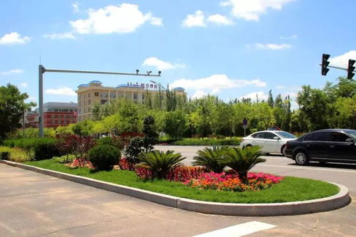 鄂托克旗園林綠化局 全力打造城鎮(zhèn) 花海