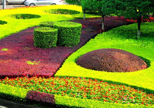 園林綠化種植的施工放線方法