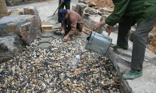 行業(yè)技術(shù)丨園林綠化施工現(xiàn)場(chǎng)如何管理 關(guān)鍵環(huán)節(jié)都在這里