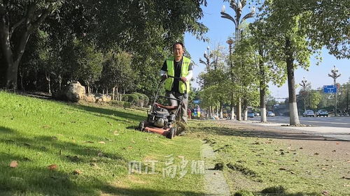 為綠化植株 減負(fù) ,百余名園林工人精修綠化帶