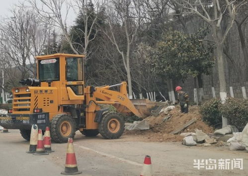 青島市區園林綠化工程有序復工，施工人員忙碌建設美麗家園