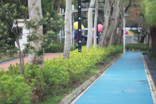 小區綠化施工全攻略 從規劃到養護的核心要點