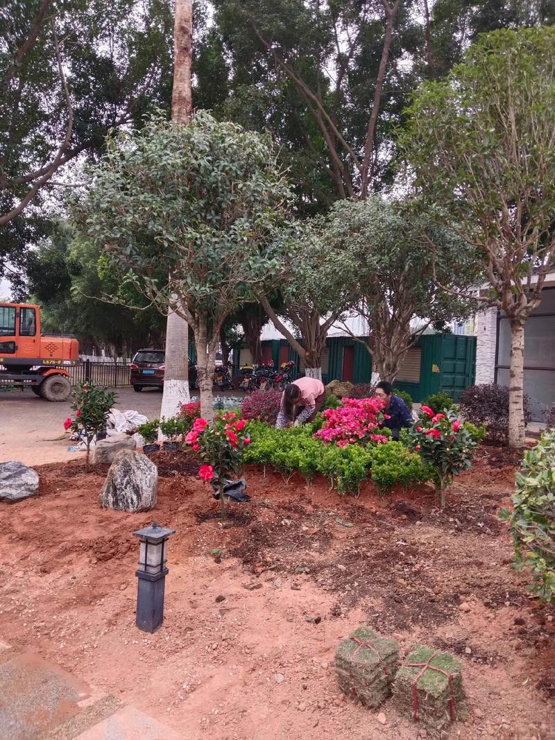 雙輪驅動城市活力 園林綠化與體育場地設施工程施工要點探析