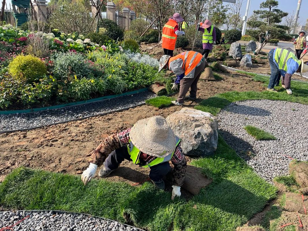 施工現(xiàn)場實拍 感受園林綠化工程的魅力