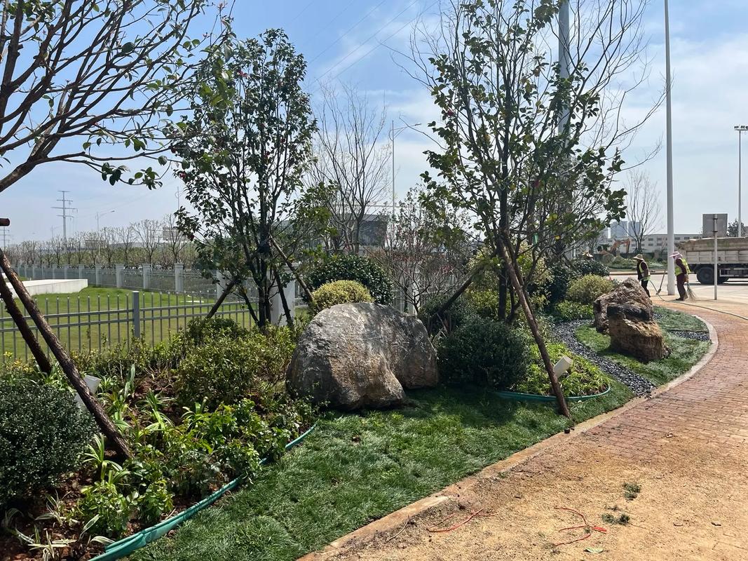 園林綠化工程 從施工現(xiàn)場實拍看生態(tài)美學(xué)的誕生